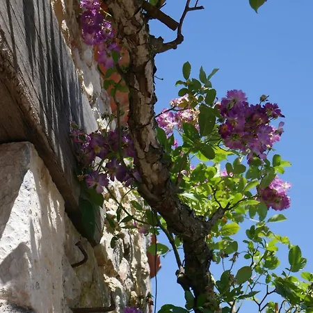 Le Tamaris לינה וארוחת בוקר