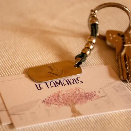 Le Tamaris 3* Sainte-Hermine