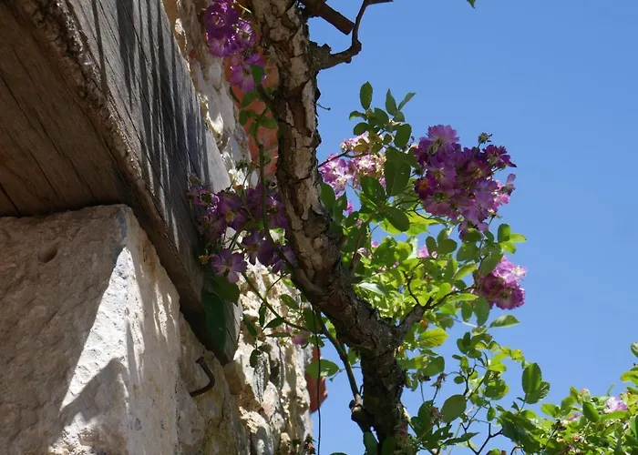 Le Tamaris Bed & Breakfast